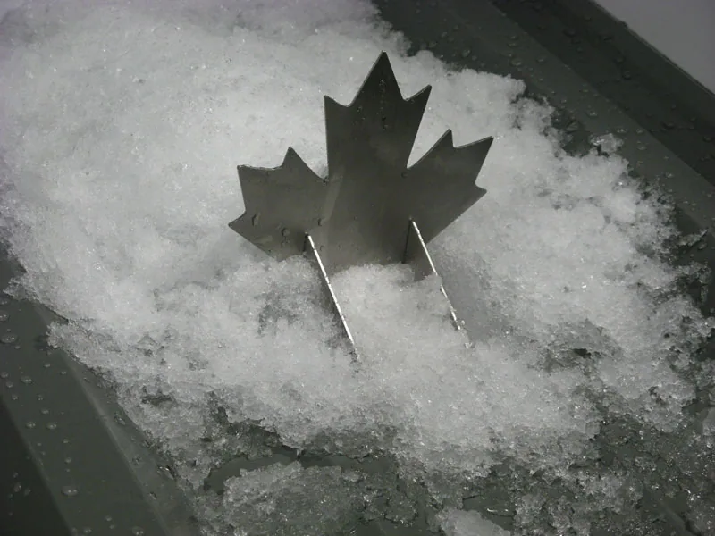 Decorative metal snow guards used for both snow retention and architectural appearance