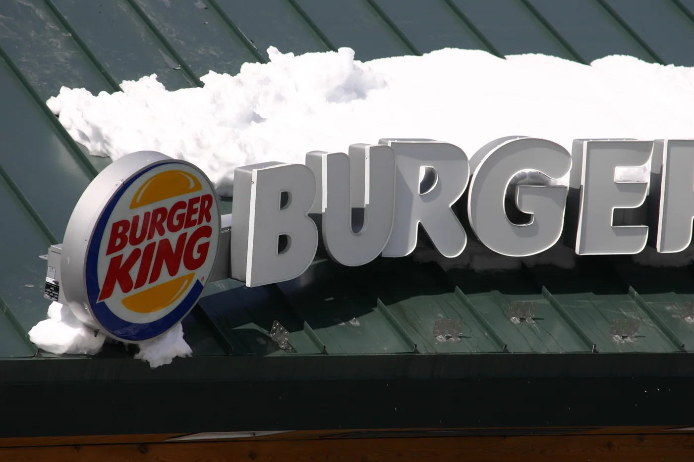 Snow guards mechanically fastened through a concealed-fastener metal roof