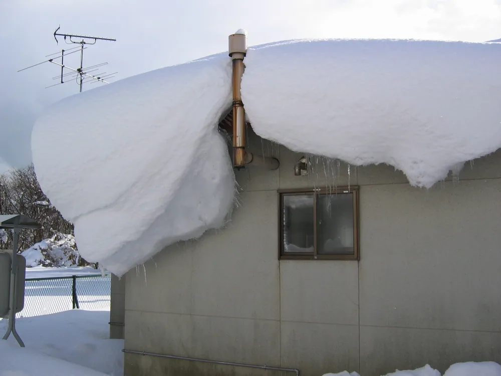 Specially designed, standalone vent and chimney protection devices are a great option to prevent damage to this chimney